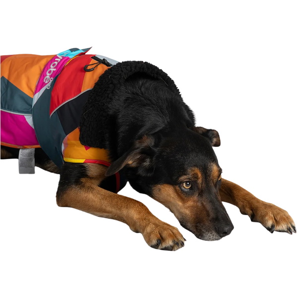 2026 Dryrobe Dog Coat V3DRDC - Abstract